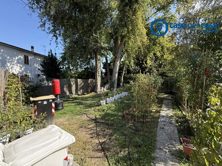 Immagine 21 di Casa indipendente in vendita  in Villadose, Via Turatti a Villadose