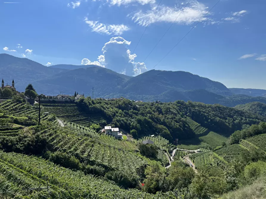 Immagine 44 di Casa indipendente in vendita  in via al pra ert a Cembra Lisignago