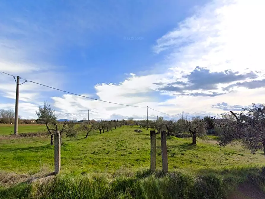 Immagine 1 di Terreno in vendita  a Tuoro Sul Trasimeno