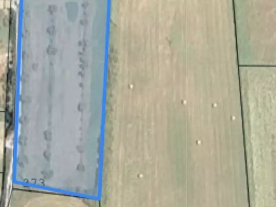 Immagine 2 di Terreno in vendita  a Tuoro Sul Trasimeno