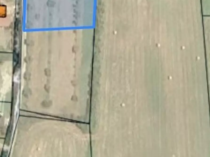 Immagine 2 di Terreno in vendita  a Tuoro Sul Trasimeno