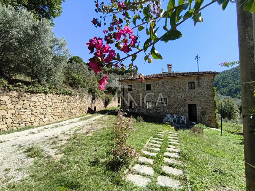 Immagine 1 di Rustico / casale in vendita  a Vinci