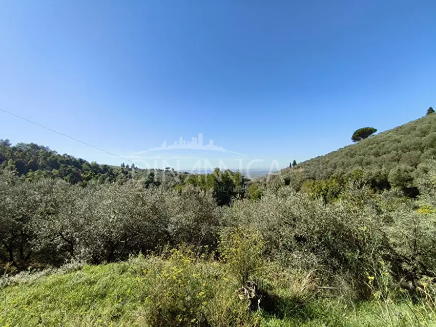 Immagine 2 di Rustico / casale in vendita  a Vinci