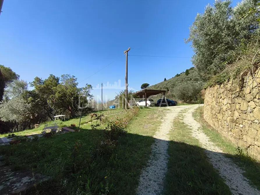 Immagine 4 di Rustico / casale in vendita  a Vinci