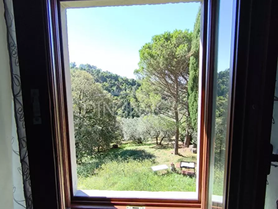 Immagine 20 di Rustico / casale in vendita  a Vinci