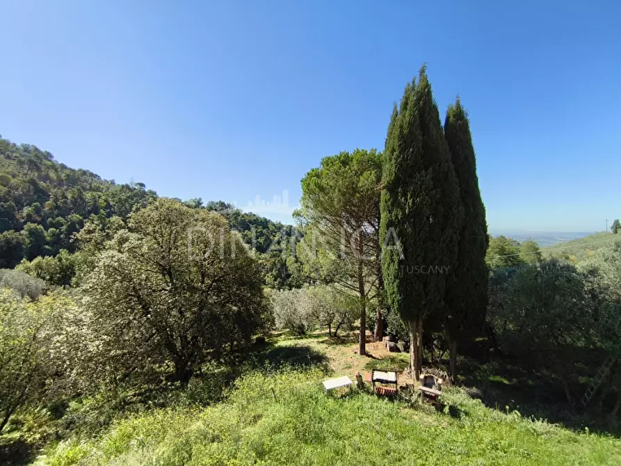 Immagine 23 di Rustico / casale in vendita  a Vinci