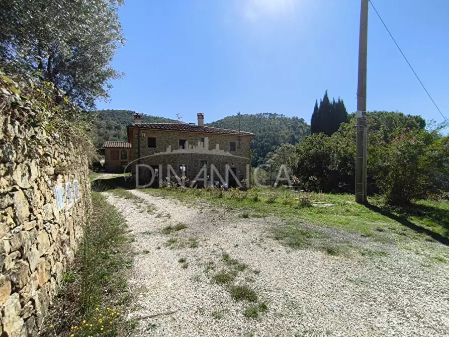 Immagine 28 di Rustico / casale in vendita  a Vinci