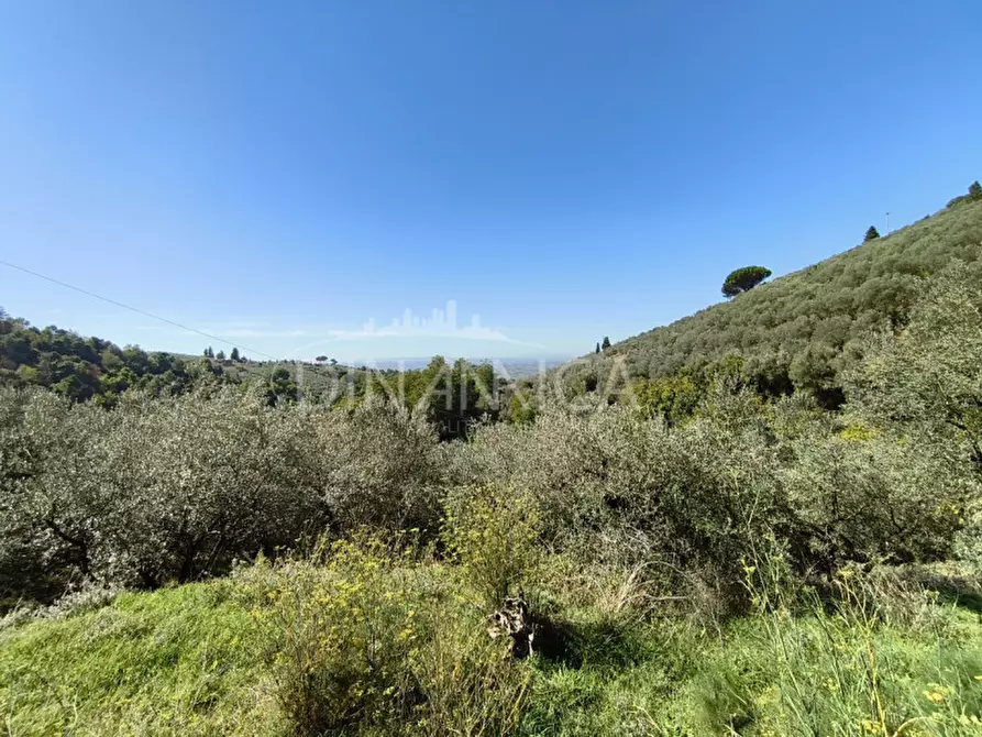 Immagine 29 di Rustico / casale in vendita  a Vinci