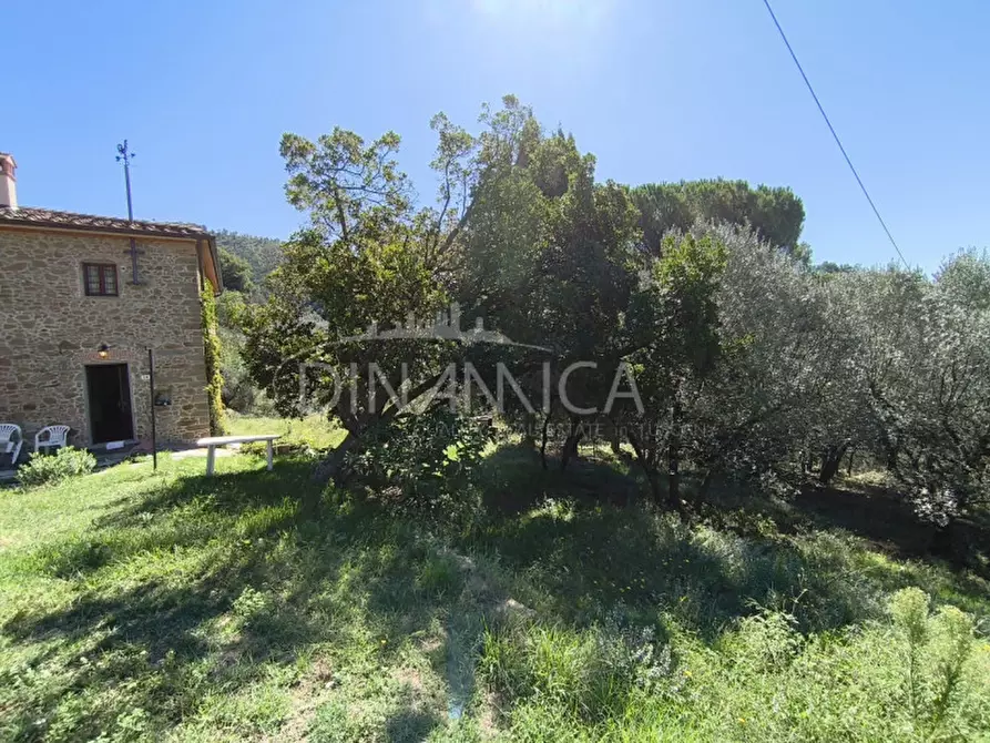 Immagine 30 di Rustico / casale in vendita  a Vinci