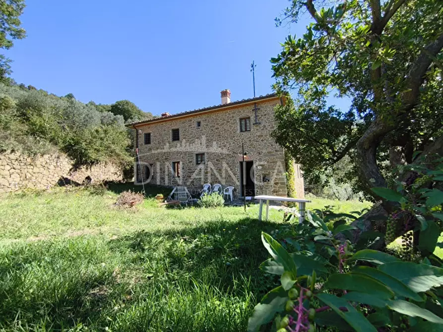 Immagine 31 di Rustico / casale in vendita  a Vinci