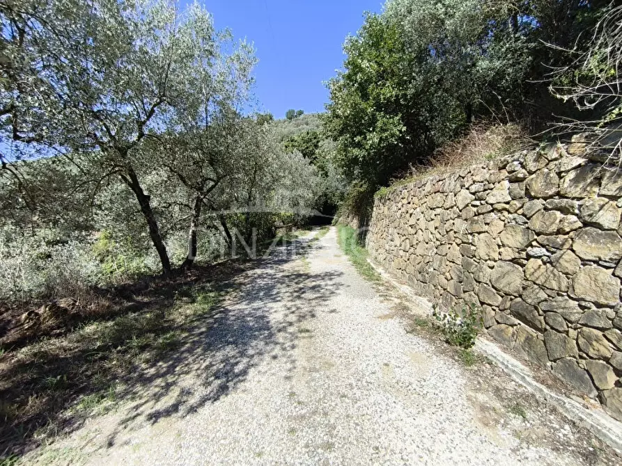 Immagine 33 di Rustico / casale in vendita  a Vinci