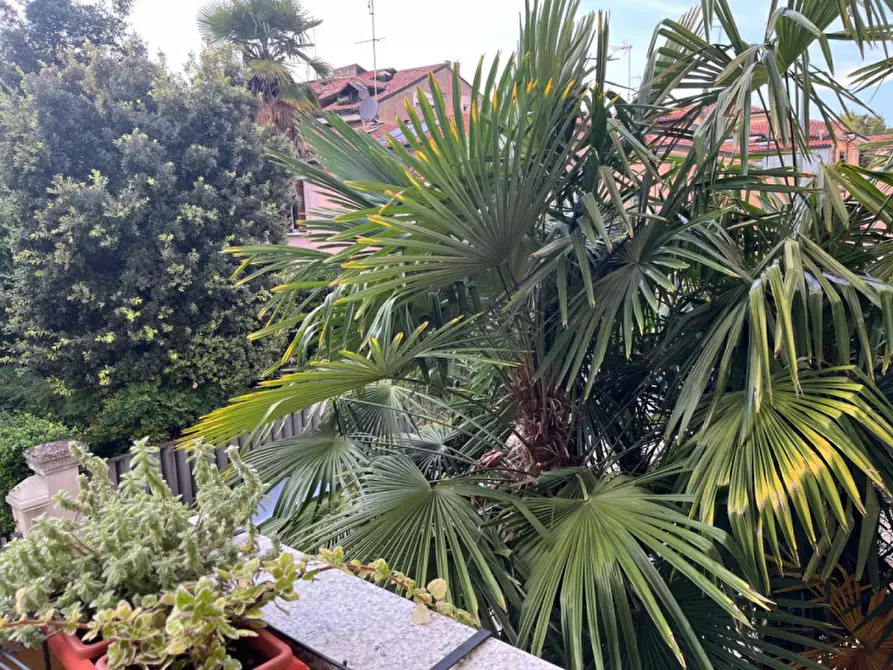 Immagine 6 di Appartamento in affitto  in Via Santa Maria in Conio a Padova