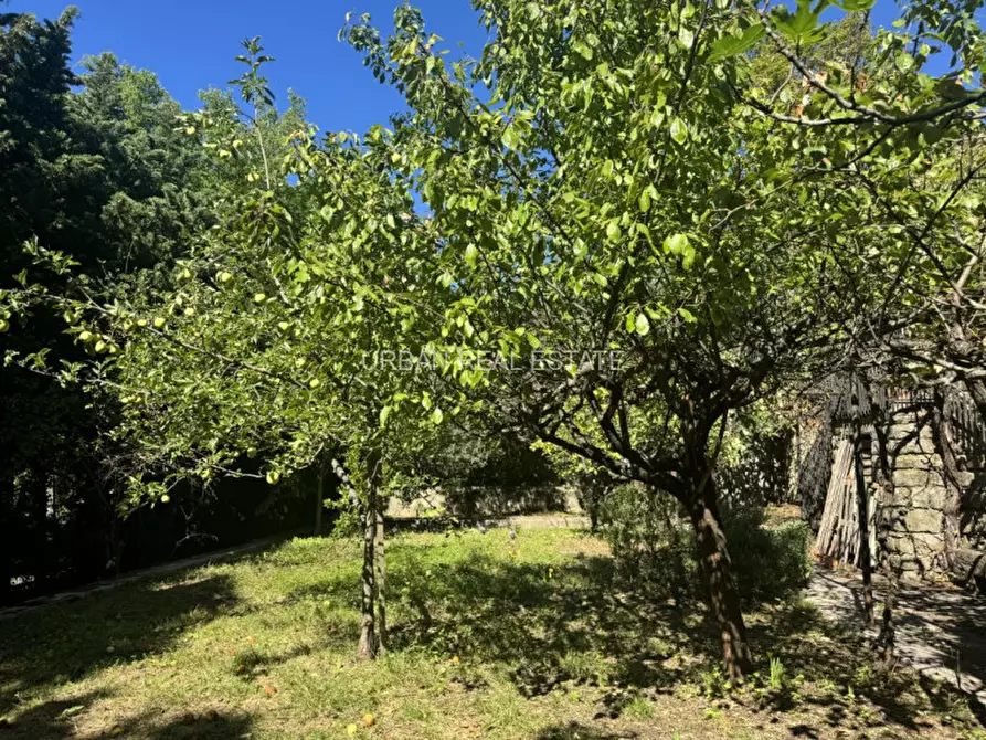 Immagine 54 di Villa in vendita  in VIA DELL'EREMO 11 a Trieste