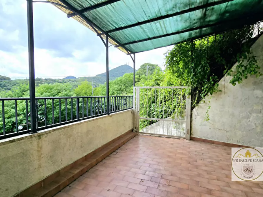 Immagine 6 di Attività commerciale in vendita  in via tormene a Baone