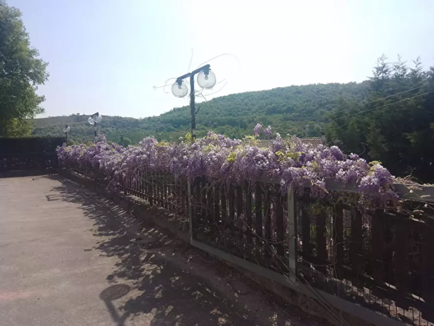 Immagine 49 di Attività commerciale in vendita  in via tormene a Baone