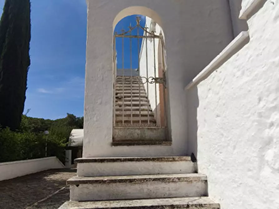 Immagine 6 di Rustico / casale in vendita  in Viale Toledo a Fasano