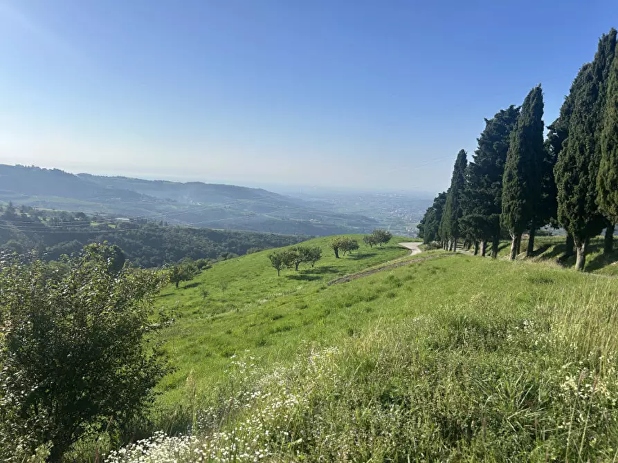 Immagine 3 di Terreno in vendita  in Via Monte Tregnago di Rosaro a Grezzana