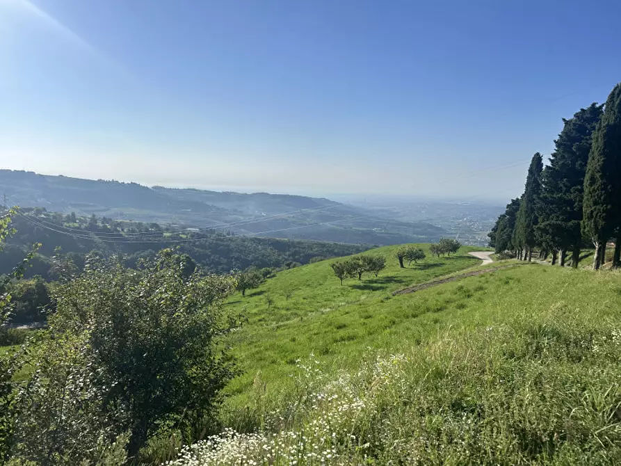 Immagine 4 di Terreno in vendita  in Via Monte Tregnago di Rosaro a Grezzana