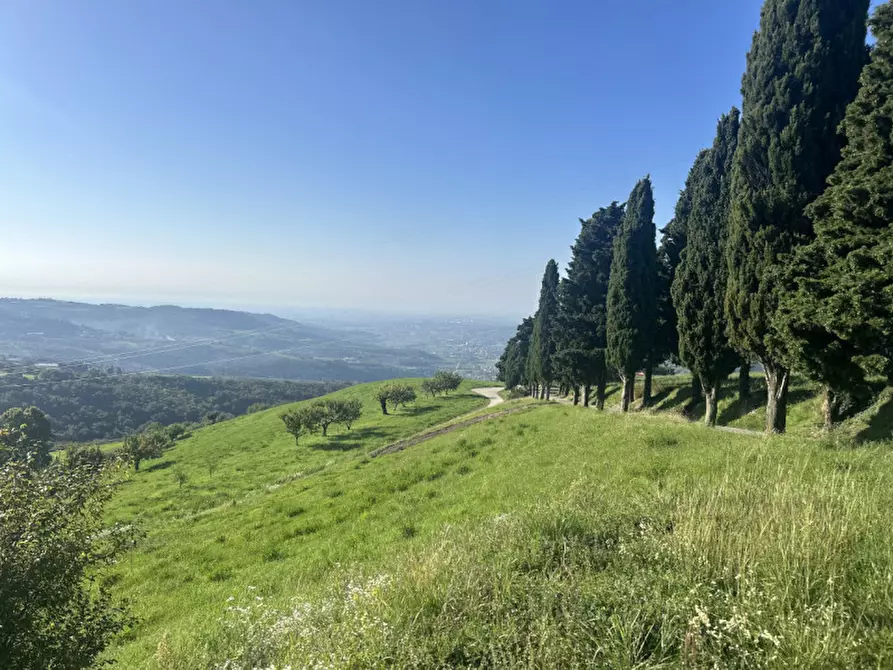Immagine 5 di Terreno in vendita  in Via Monte Tregnago di Rosaro a Grezzana