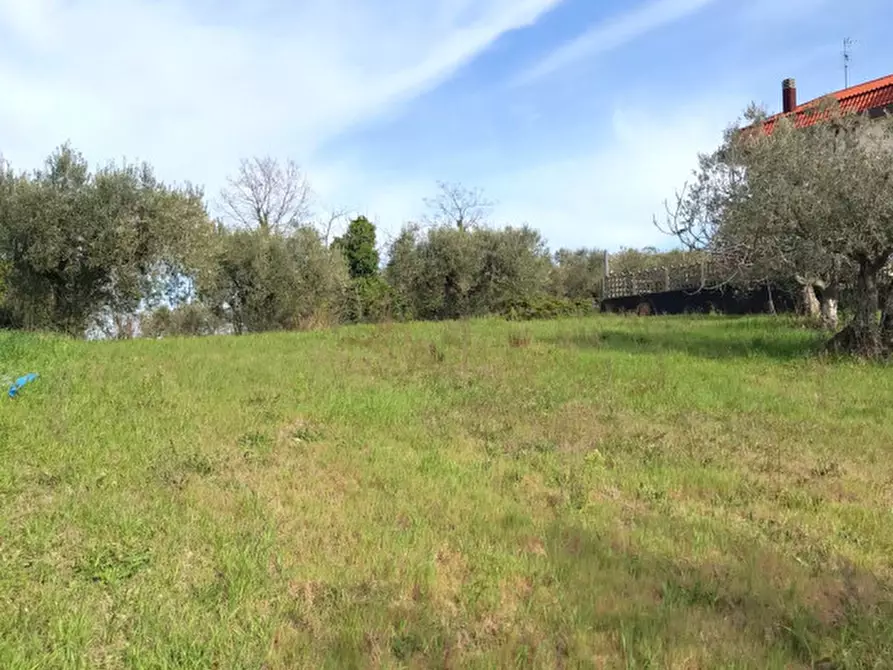 Immagine 1 di Terreno in vendita  in C.DA COLLEVENTO a Montesilvano