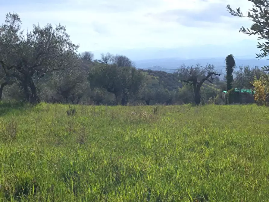 Immagine 2 di Terreno in vendita  in C.DA COLLEVENTO a Montesilvano