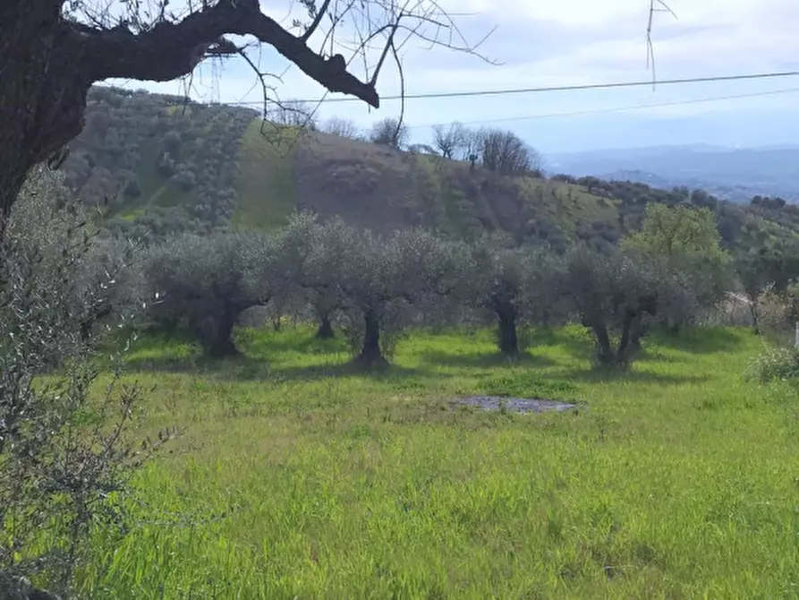 Immagine 3 di Terreno in vendita  in C.DA COLLEVENTO a Montesilvano