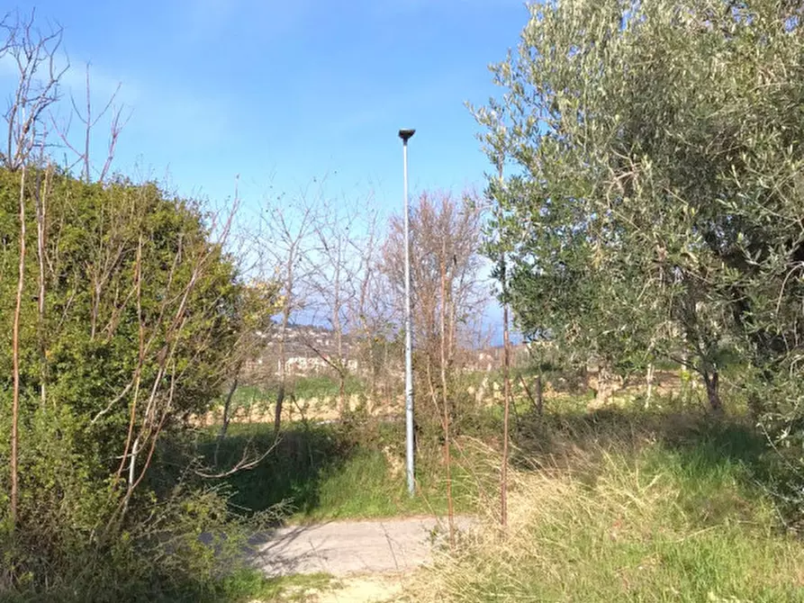 Immagine 4 di Terreno in vendita  in C.DA COLLEVENTO a Montesilvano