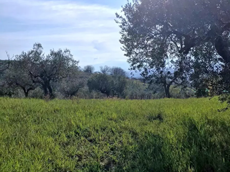 Immagine 5 di Terreno in vendita  in C.DA COLLEVENTO a Montesilvano