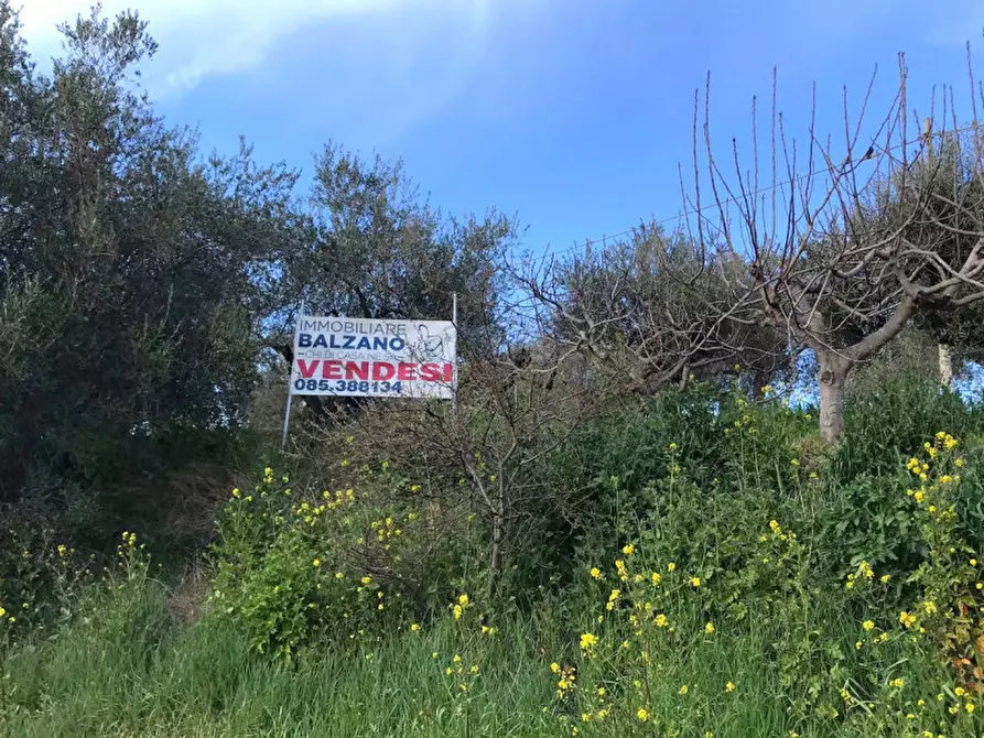 Immagine 6 di Terreno in vendita  in C.DA COLLEVENTO a Montesilvano