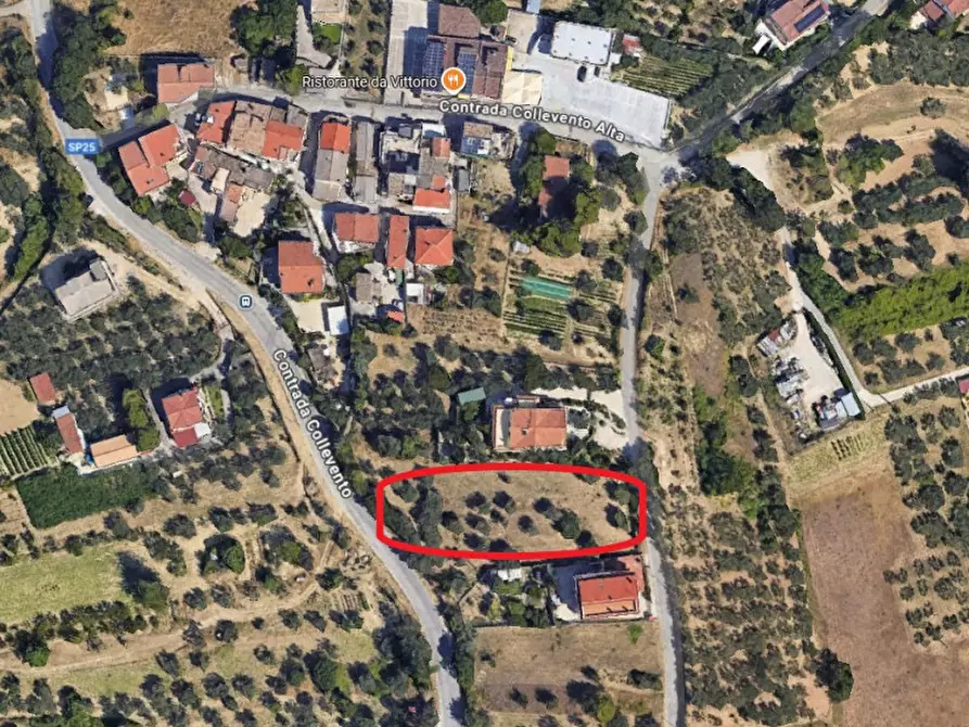 Immagine 7 di Terreno in vendita  in C.DA COLLEVENTO a Montesilvano