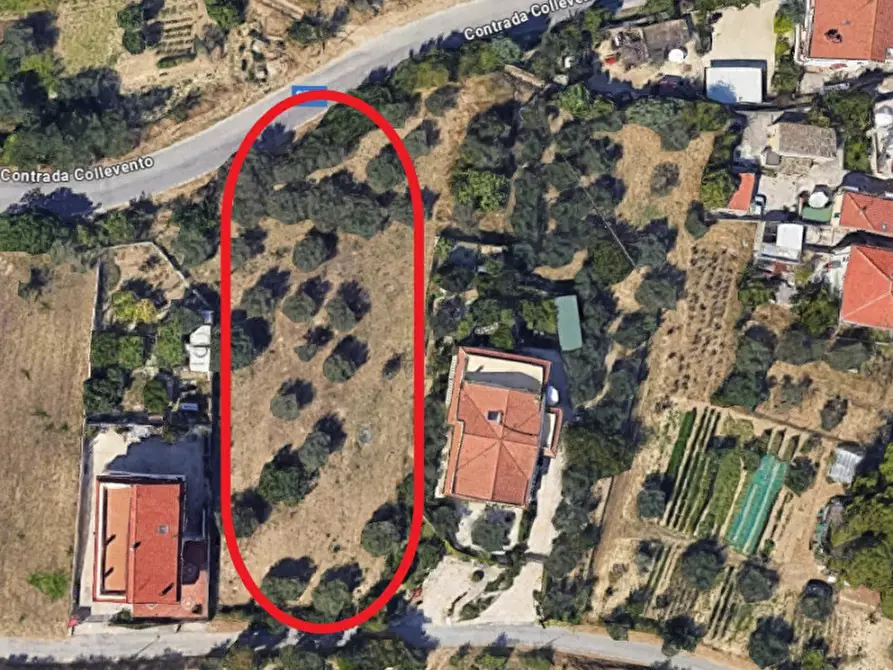 Immagine 9 di Terreno in vendita  in C.DA COLLEVENTO a Montesilvano