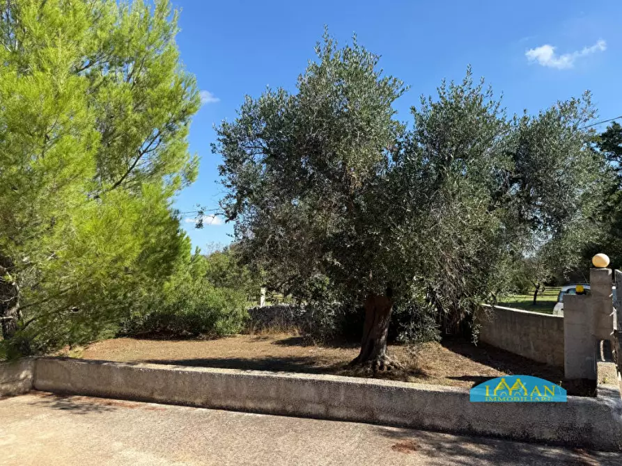 Immagine 20 di Villa in vendita  in Contrada Monte Calvo a Ceglie Messapico