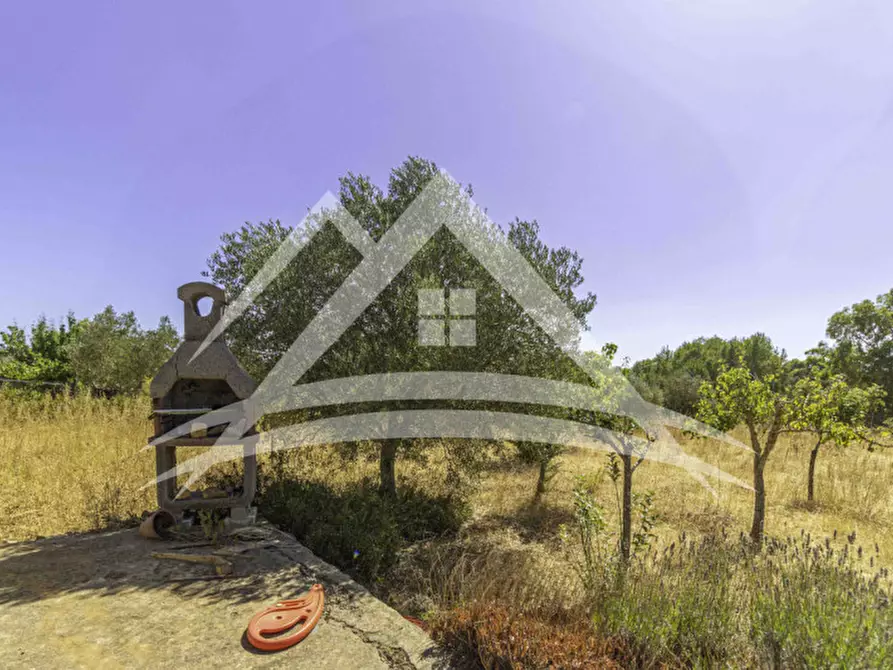 Immagine 5 di Terreno in vendita  in Zona Rosario a Sassari