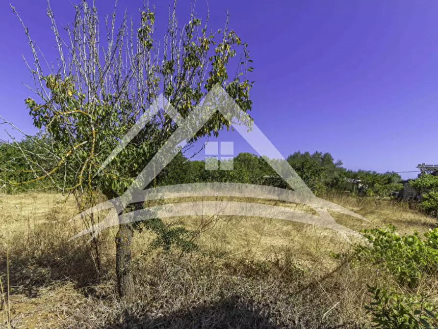 Immagine 6 di Terreno in vendita  in Zona Rosario a Sassari