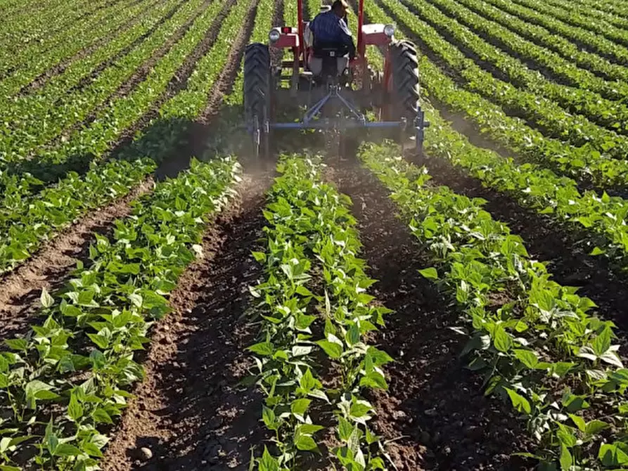 Immagine 1 di Terreno in vendita  in Via Cinque Archi a Vigonza