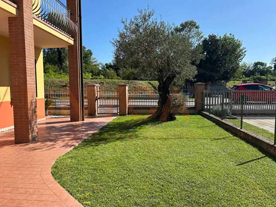 Immagine 3 di Casa indipendente in vendita  a Rubano