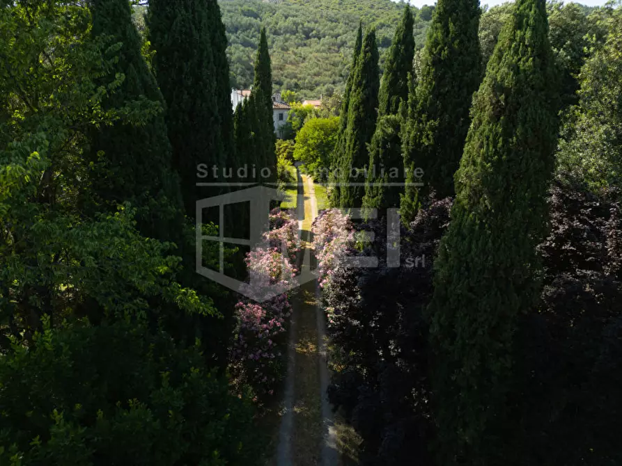 Immagine 4 di Villa in vendita  in PIAZZA DELLA REPUBBLICA a Vicopisano