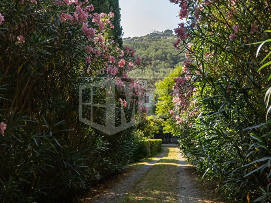 Immagine 24 di Villa in vendita  in PIAZZA DELLA REPUBBLICA a Vicopisano