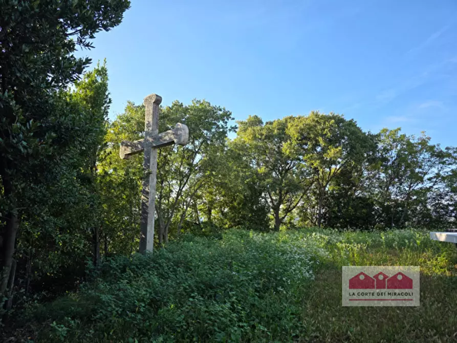 Immagine 19 di Rustico / casale in vendita  in Via Rivella a Creazzo