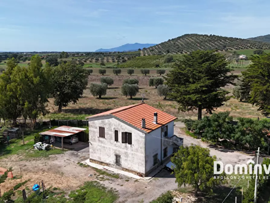 Immagine 2 di Rustico / casale in vendita  in Strada Barucola a Capalbio