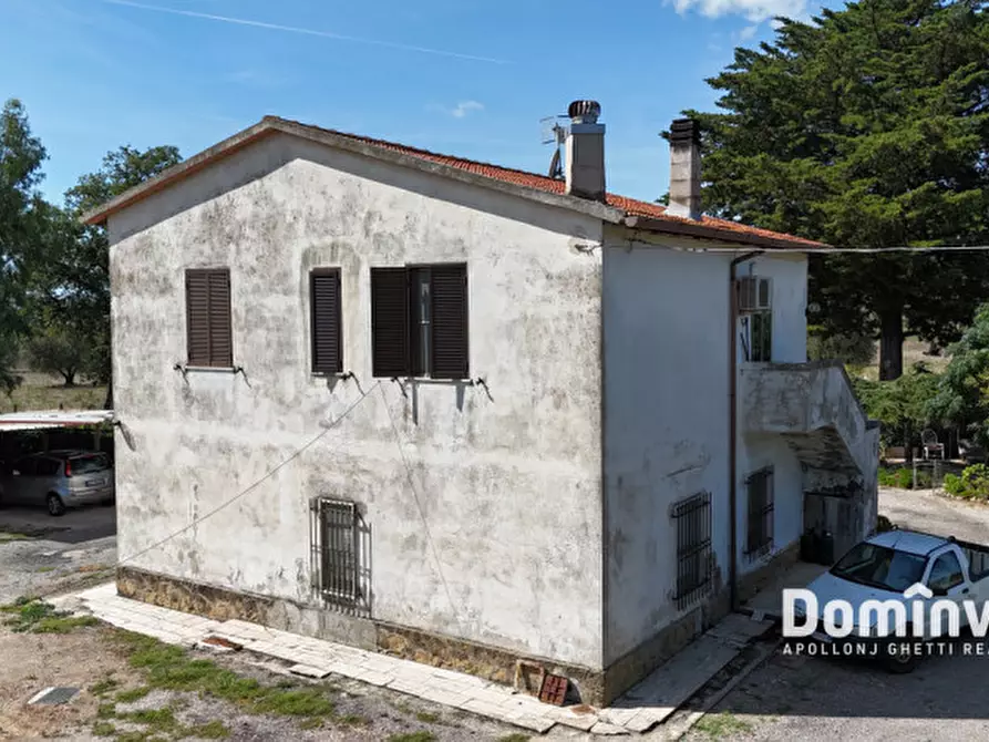 Immagine 4 di Rustico / casale in vendita  in Strada Barucola a Capalbio