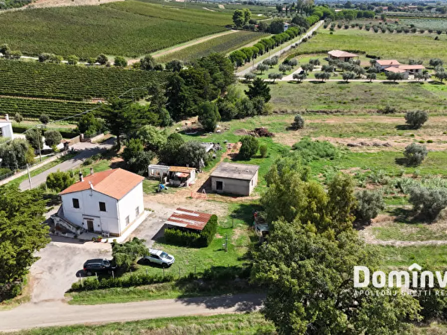 Immagine 8 di Rustico / casale in vendita  in Strada Barucola a Capalbio