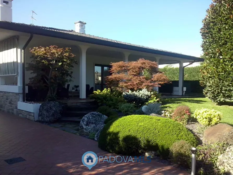 Immagine 1 di Villa in vendita  in Via Cappello a Noventa Padovana