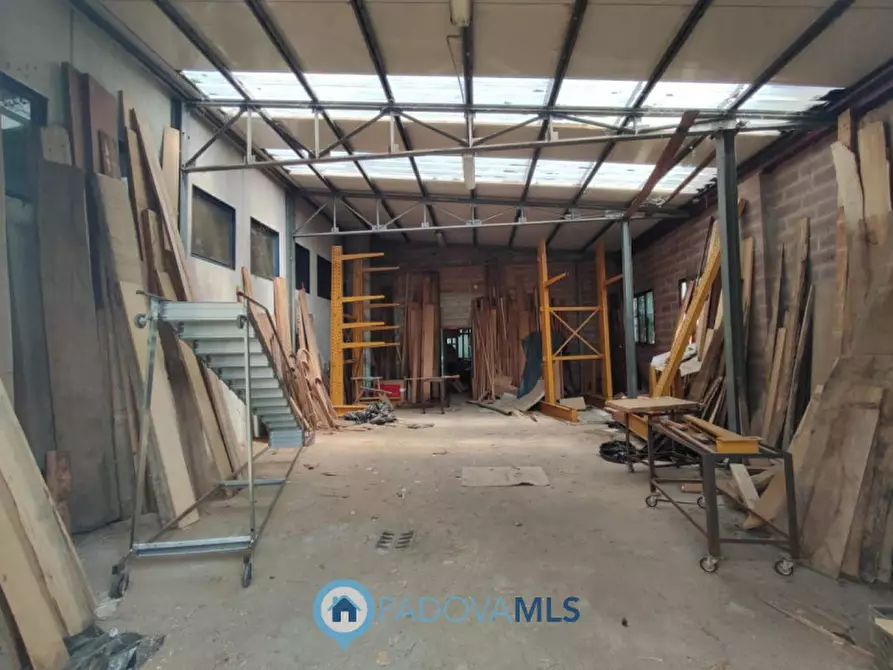 Immagine 19 di Capannone industriale in vendita  a Albignasego