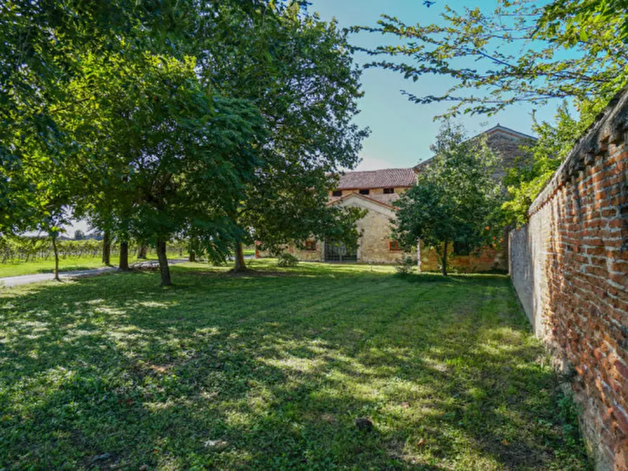 Immagine 6 di Rustico / casale in vendita  a Arcole