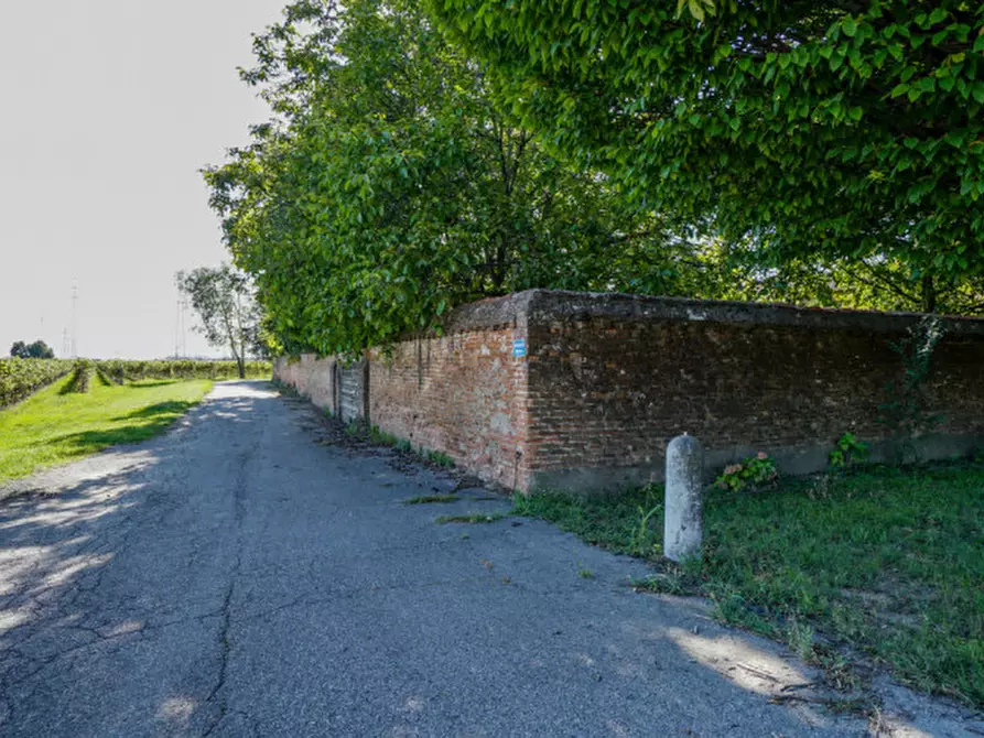 Immagine 7 di Rustico / casale in vendita  a Arcole