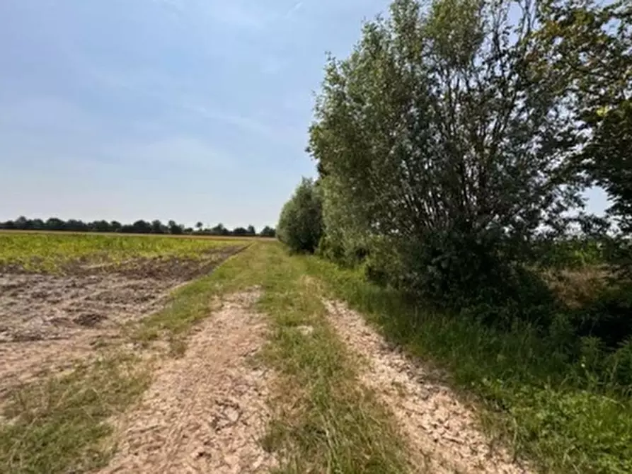 Immagine 3 di Terreno in vendita  in VIA OLMO a Gazzo Veronese