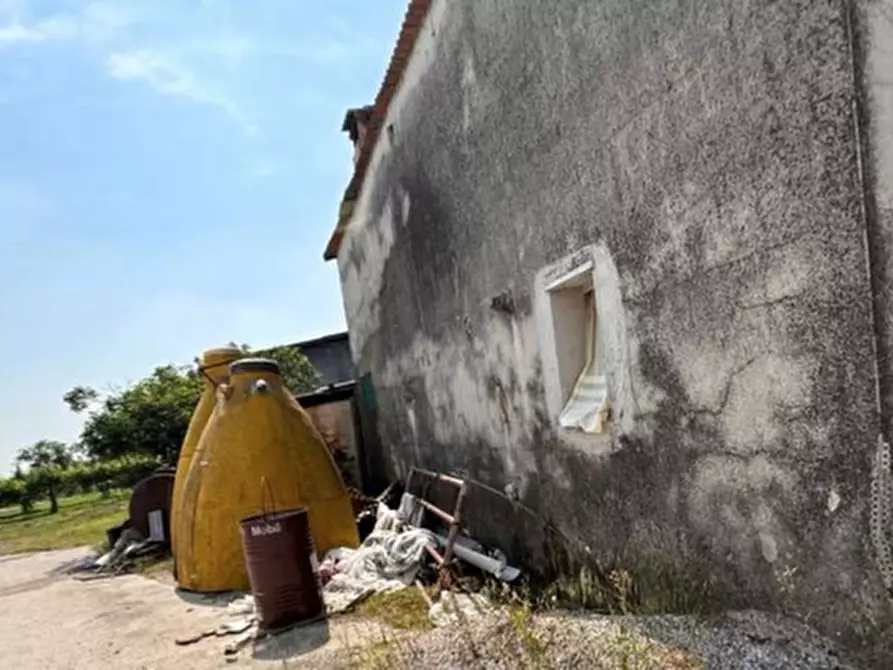 Immagine 8 di Magazzino in vendita  in VIA OLMO a Gazzo Veronese