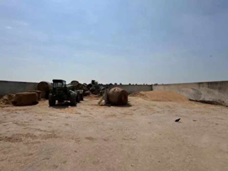 Immagine 10 di Magazzino in vendita  in VIA OLMO a Gazzo Veronese