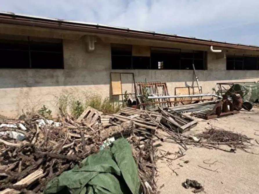 Immagine 14 di Magazzino in vendita  in VIA OLMO a Gazzo Veronese